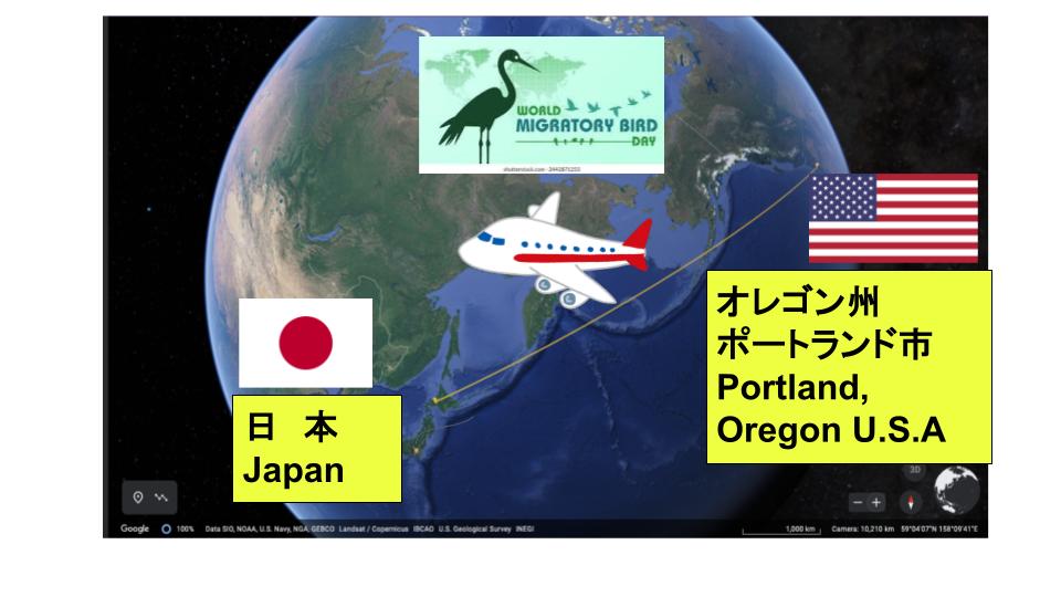日本とオレゴンをつなぐ地球と飛行機